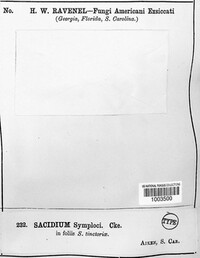 Sacidium symploci image